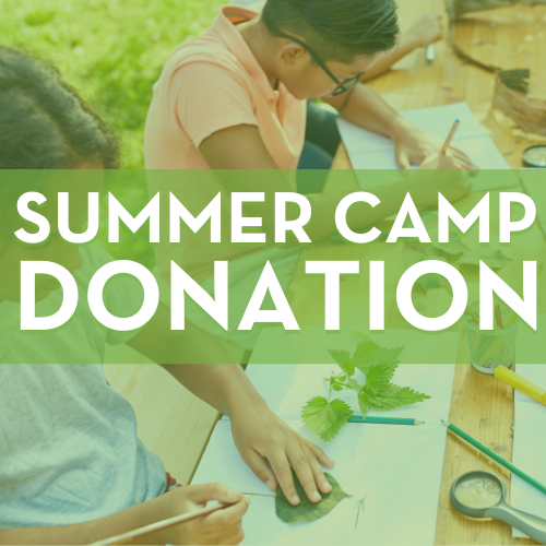 Sponsor a Child for Summer Camp